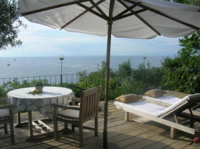 Apartments Olive Garden, Piran